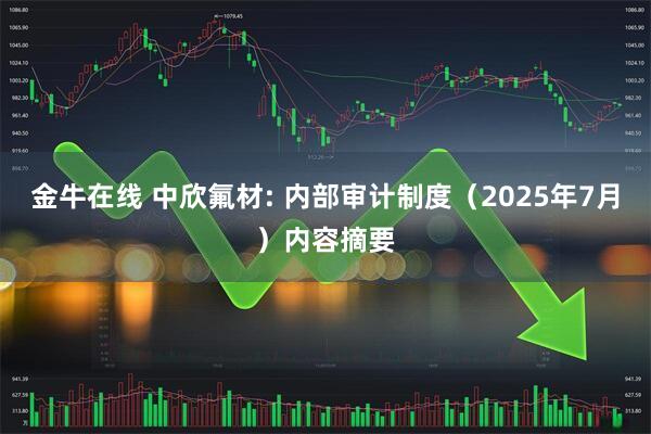 金牛在线 中欣氟材: 内部审计制度（2025年7月）内容摘要